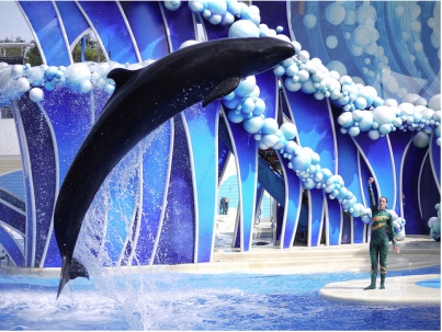 [Jozu] La fausse orque gravement malade Blue-horizons-jozu-as-jpeg