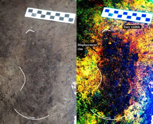Photo & enhanced version of 1 of 29 human footprints dating back to last Ice Age found along BC coast / Duncan McClaren, Gizmodo / Click for more. 