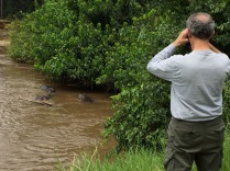 Marc watching hippos, Ishasha River, Queen Elizabeth NP
