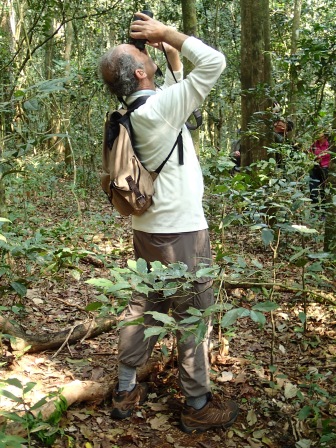 Marc watching chimps and ... could that be a potto? Kibale Forest National Park