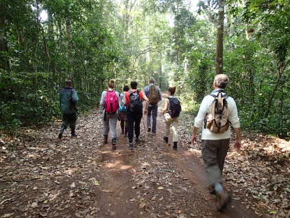 Moses and our group walking down the one road that cuts through the forest, Kibale Forest NP